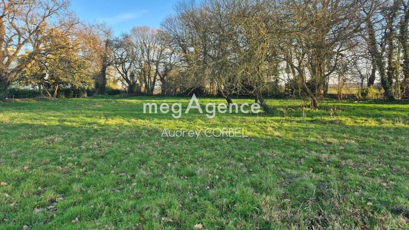 Terrain constructible - 1 261 m²