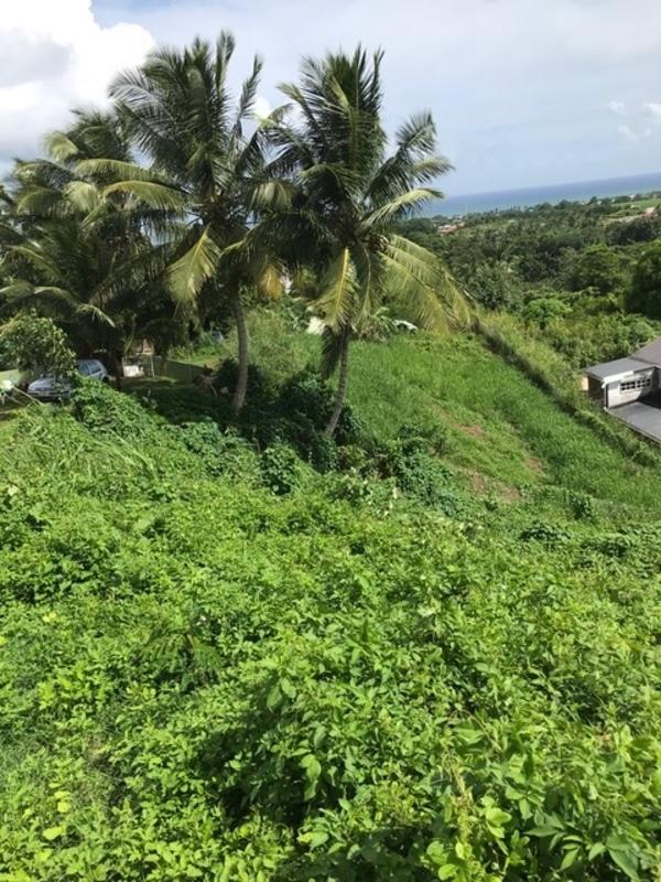 Terrain constructible - 688 m²