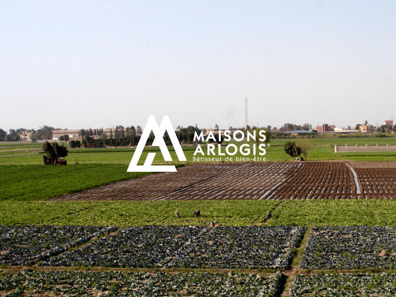 Terrain constructible - 429 m²