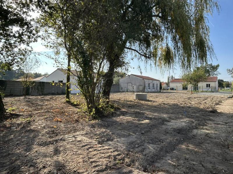 Terrain constructible - 736 m²