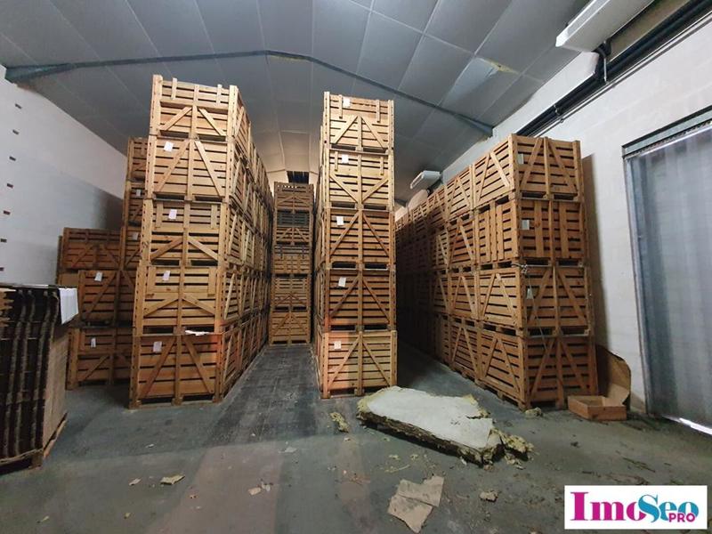 Local d'activité / Entrepôt - 1 600 m²