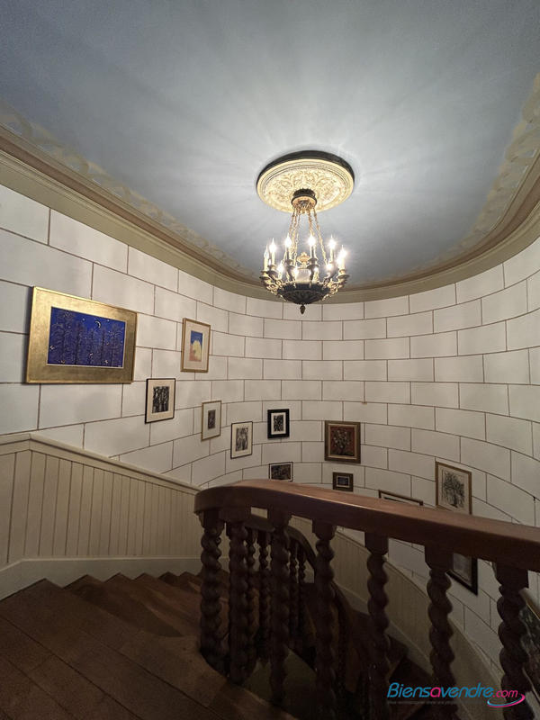 Château - 632 m² - 12 pièces