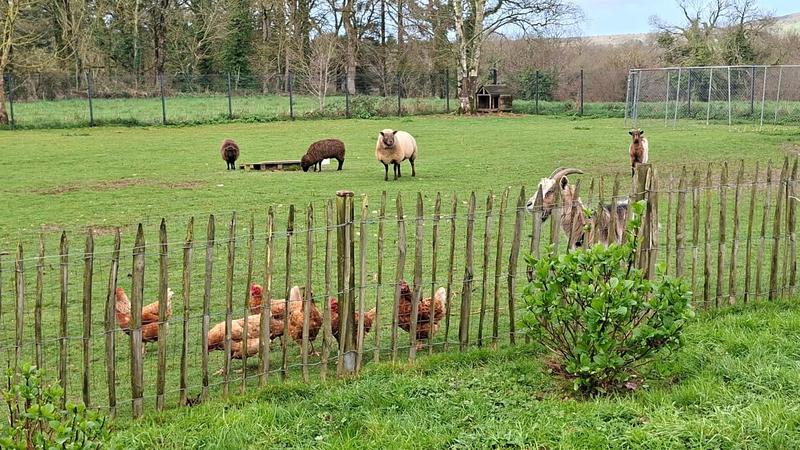 Maison - 145 m² - 7 pièces