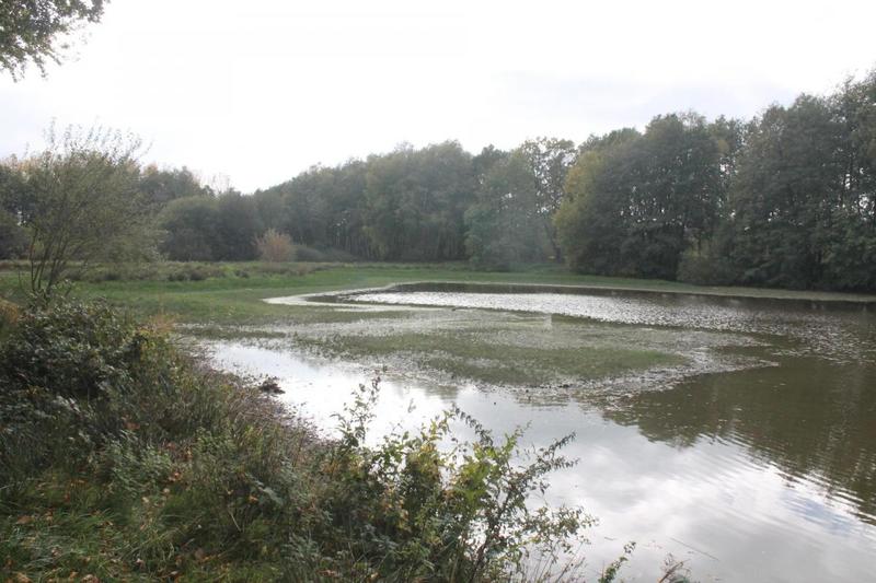 Terrain de loisirs - 67 340 m²