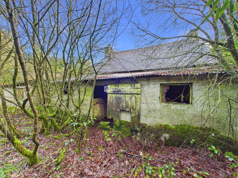 Maison - 53 m² - 2 pièces