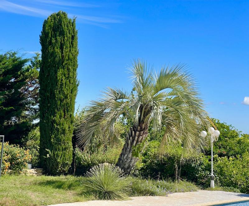 Villa - 153 m² - 5 pièces