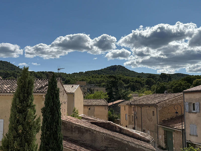 Maison de maîtres - 264 m² - 7 pièces