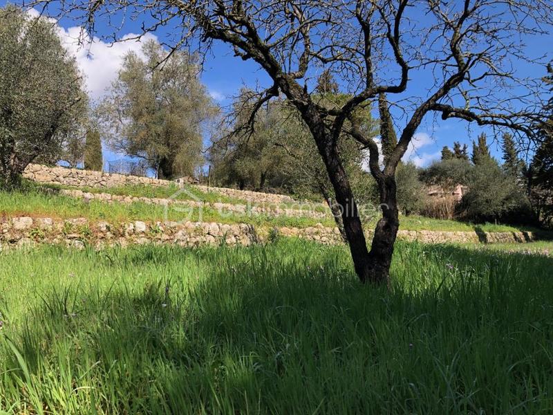 Terrain constructible - 1 066 m²