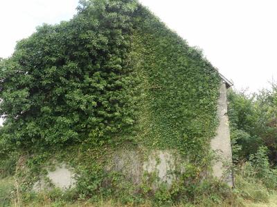 Maison de campagne - 132 m² - 6 pièces