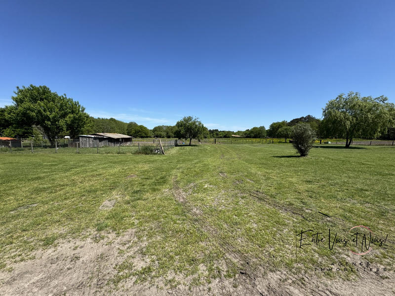 Maison - 216 m² - 7 pièces