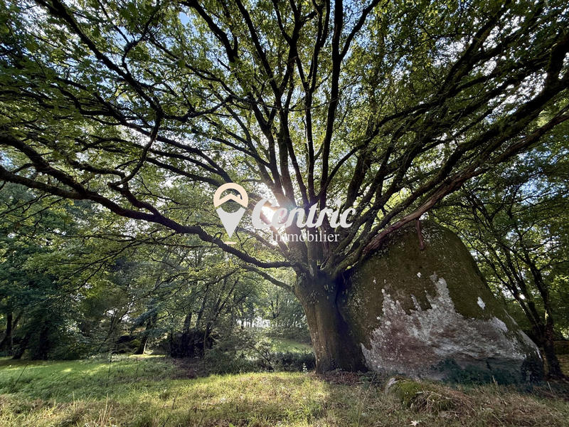 Maison - 275 m² - 13 pièces