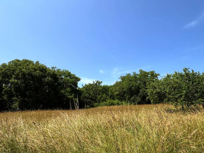 Propriété - 160 m² - 7 pièces