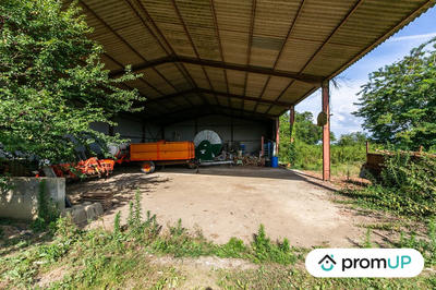 Terrain agricole - 5 000 m²