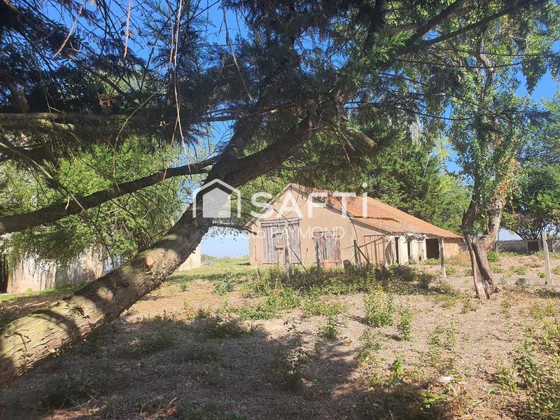 Ferme - 67 m² - 4 pièces