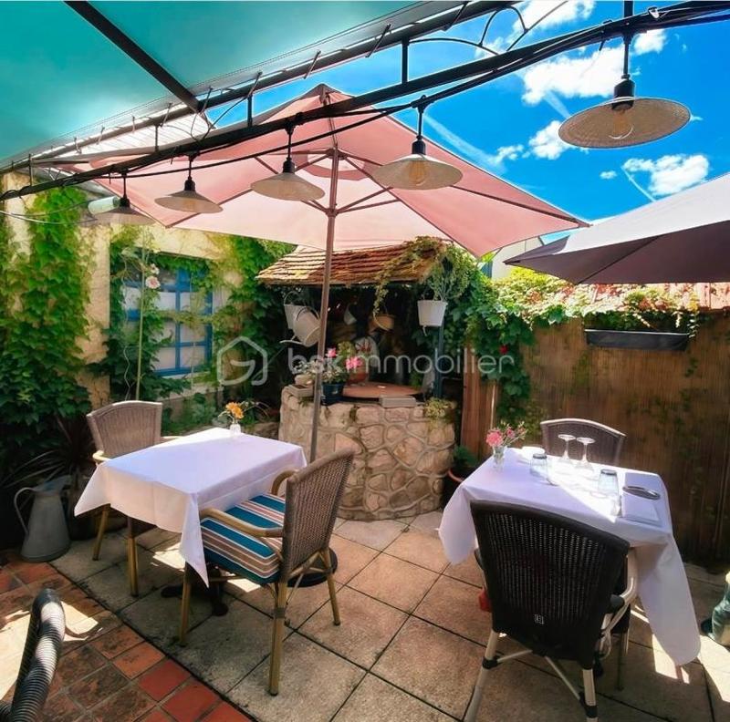 Hôtel particulier - 394 m² - 10 pièces