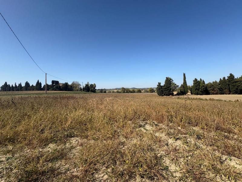 Terrain agricole - 71 775 m²