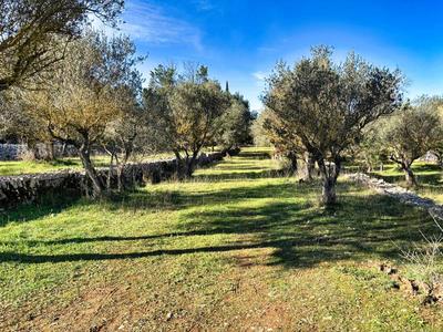 Terrain constructible - 1 412 m²