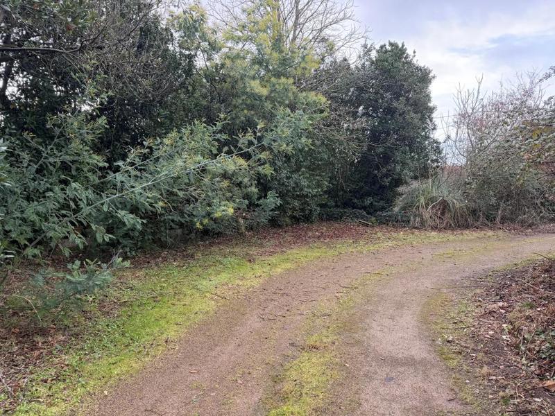 Maison - 130 m² - 4 pièces