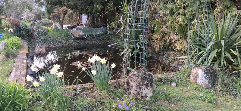 Maison - 115 m² - 3 pièces