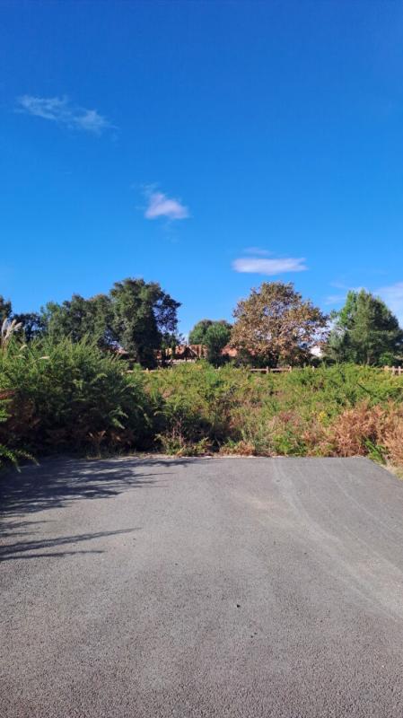 Terrain constructible - 1 088 m²