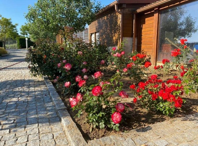 Propriété - 869 m² - 22 pièces