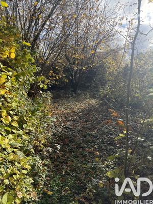 Maison de campagne - 120 m² - 5 pièces