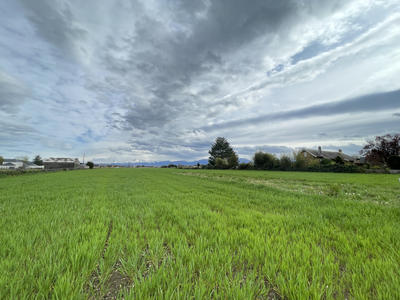 Terrain - 1 280 m²