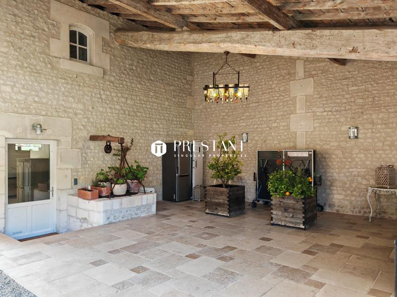Maison de domaine - 755 m² - 18 pièces