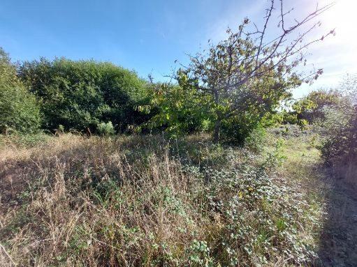 Maison - 50 m² - 3 pièces