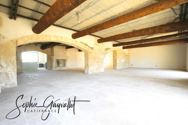 Maison - 550 m² - 9 pièces