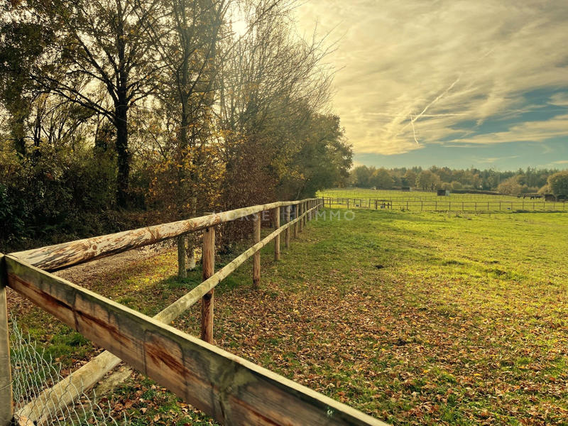 Maison - 134 m² - 3 pièces