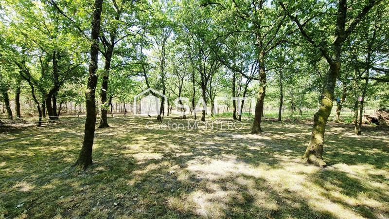 Maison - 204 m² - 7 pièces