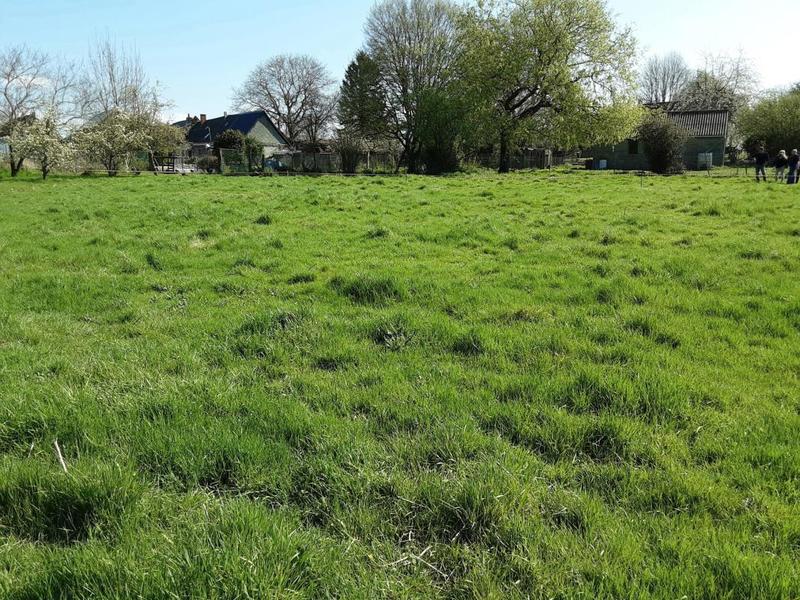 Terrain constructible - 2 000 m²