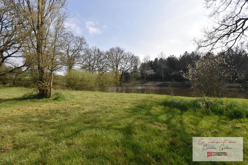 Terrain de loisirs - 11 556 m²