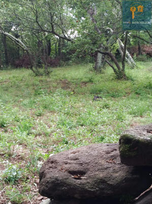 Terrain de loisirs - 4 080 m²