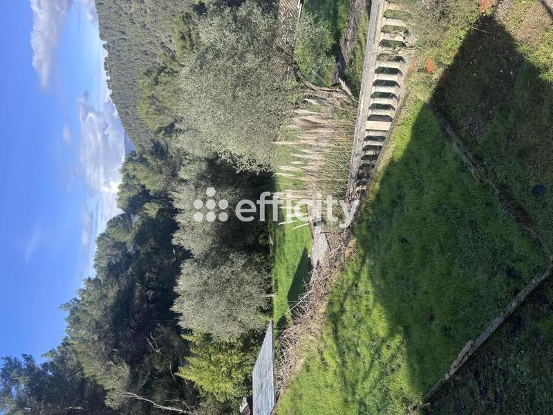 Maison - 397 m² - 4 pièces