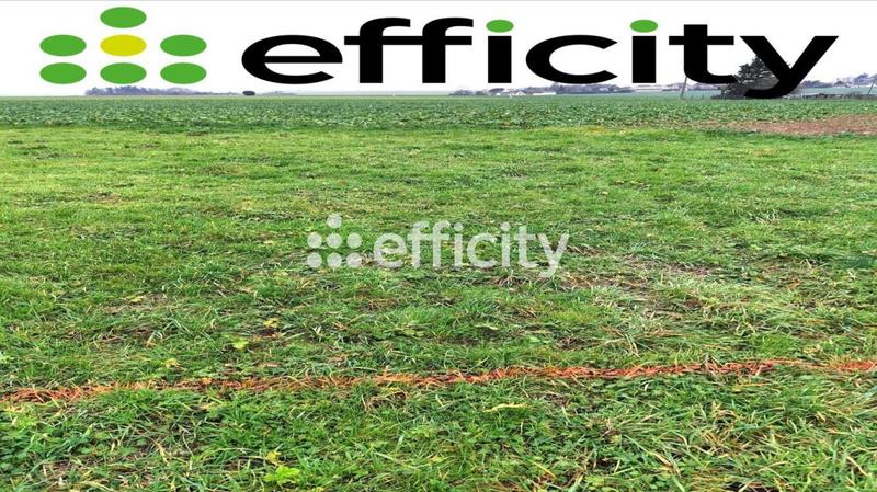 Maison - 100 m² - 2 pièces