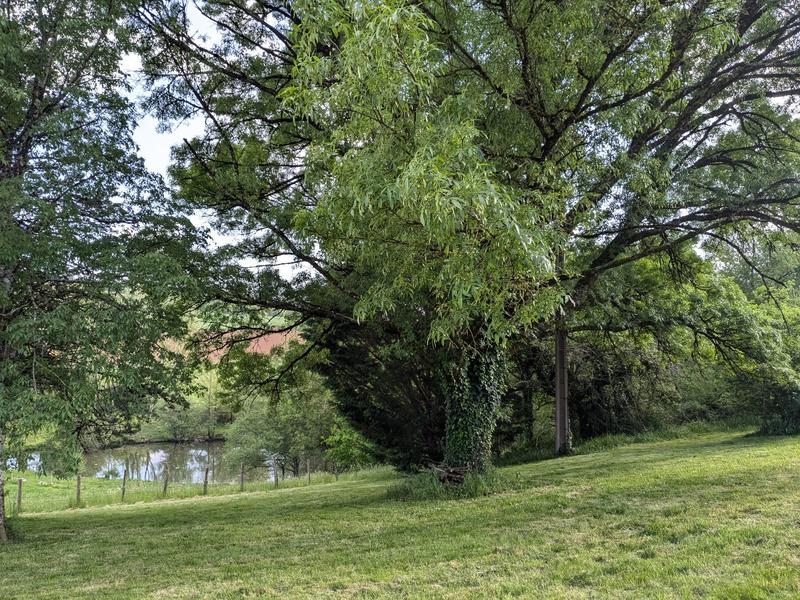 Maison - 136 m² - 4 pièces