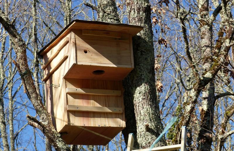 Journée "Nichoirs" au Jardin Bourian