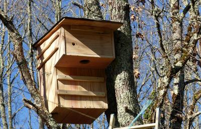 Journée "Nichoirs" au Jardin Bourian