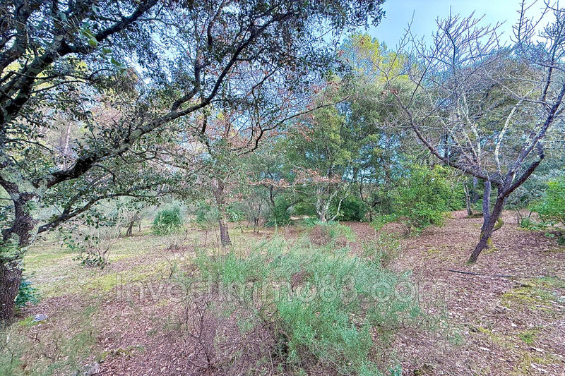 Maison - 75 m² - 3 pièces