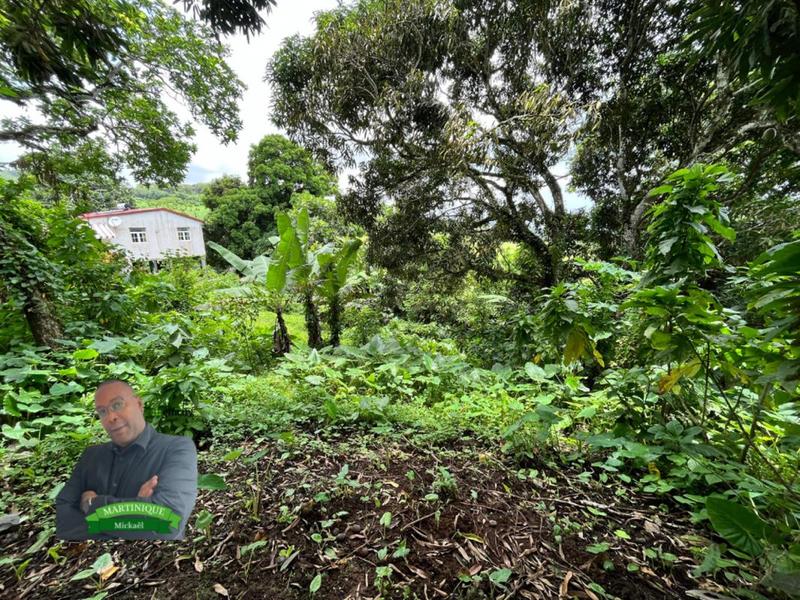 Terrain constructible - 1 480 m²