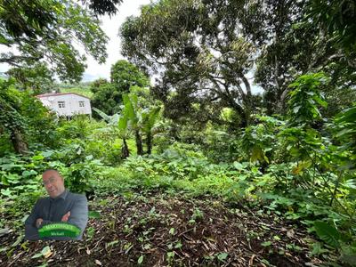 Terrain constructible - 1 480 m²