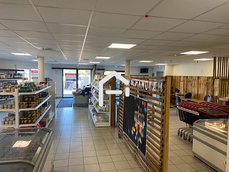 Local d'activités - 252 m² - 4 pièces