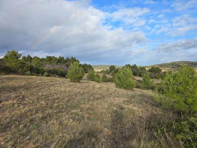 Terrain agricole - 8 540 m²
