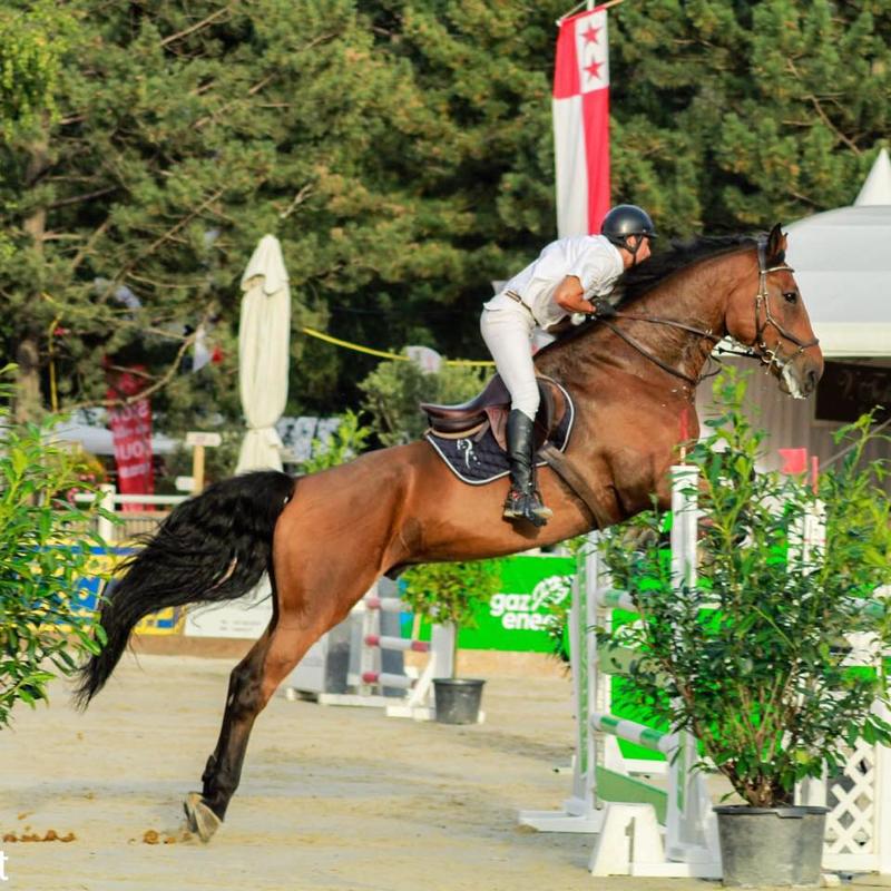 Cours privés ou collectifs, balades, stage d'été aux Ecuries du Dropt