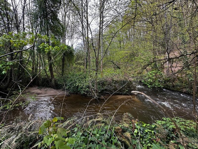 Maison en pierre - 170 m² - 6 pièces