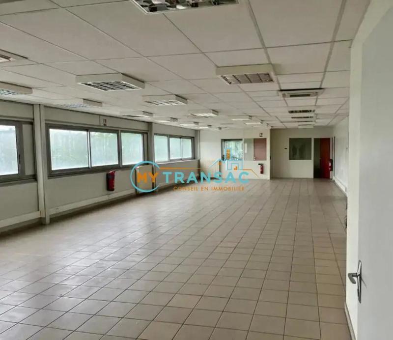 Local d'activité / Entrepôt - 3 699 m²