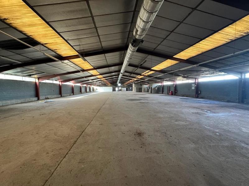 Local commercial - 2 010 m² - 6 pièces