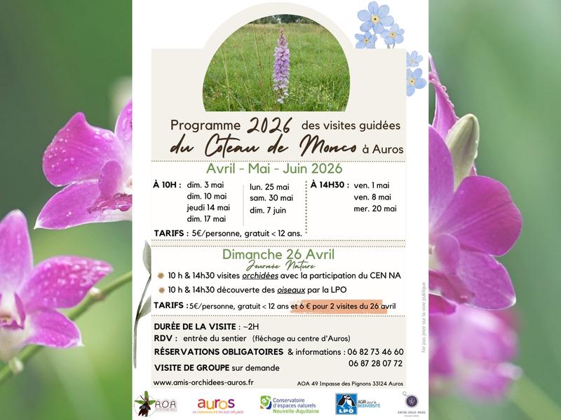 Visite des orchidées du sentier de Monco